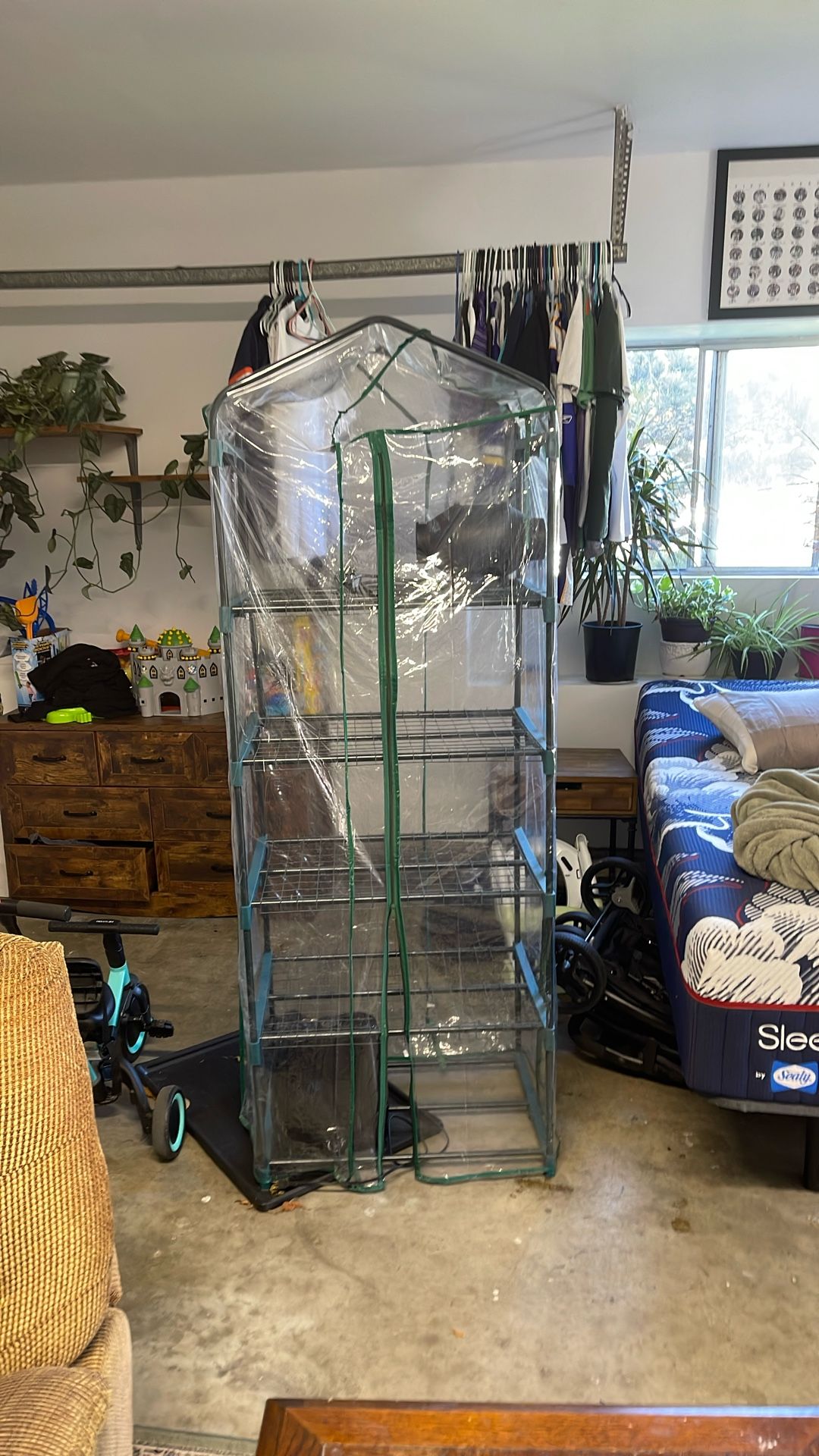 In Home Greenhouse For Plants