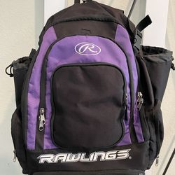 Softball bag