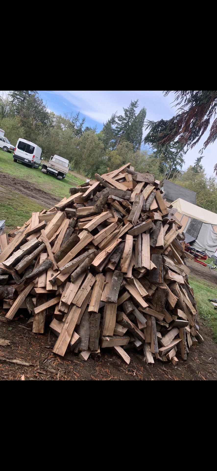 Alder firewood for sale