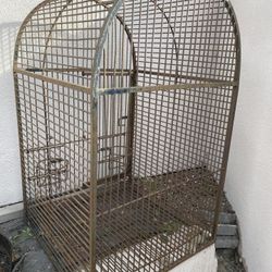 Bird Cage
