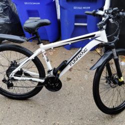 Funhang Electric Bike