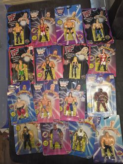 Wwf bend ems