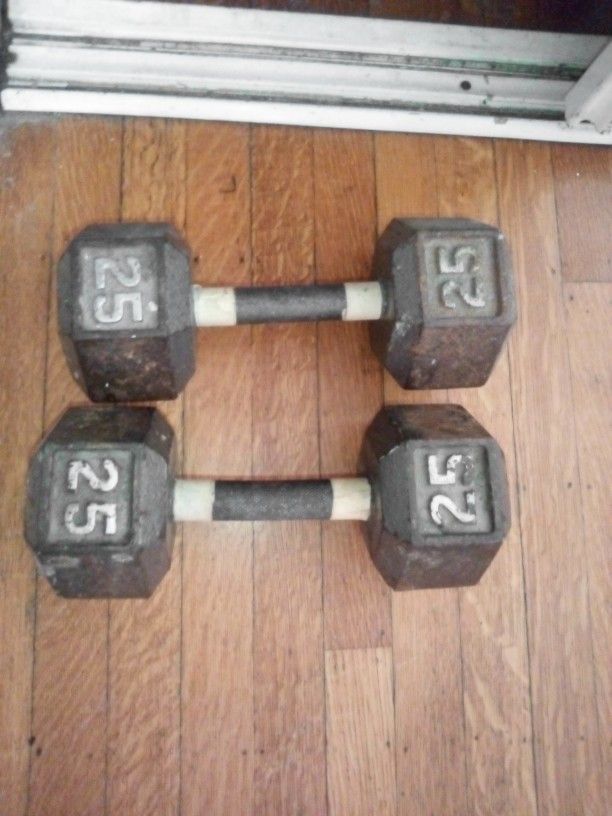 Dumbbell Weights 25lbs Each