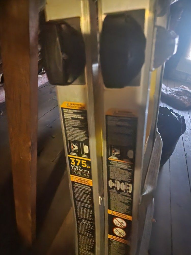 Gorilla Ladder With Tray