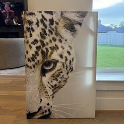 Leopard picture $15