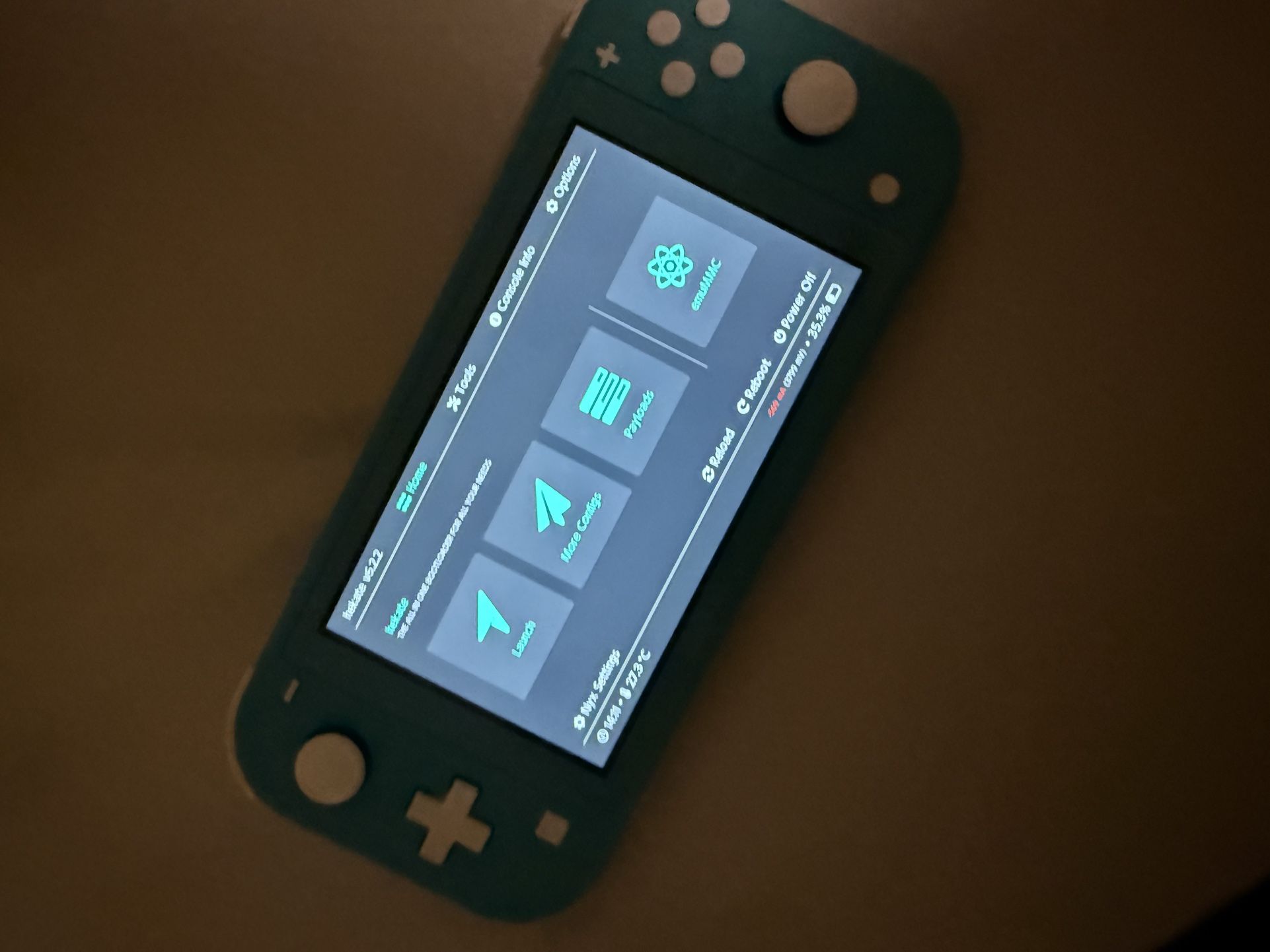 Nintendo Switch Lite (Modded)