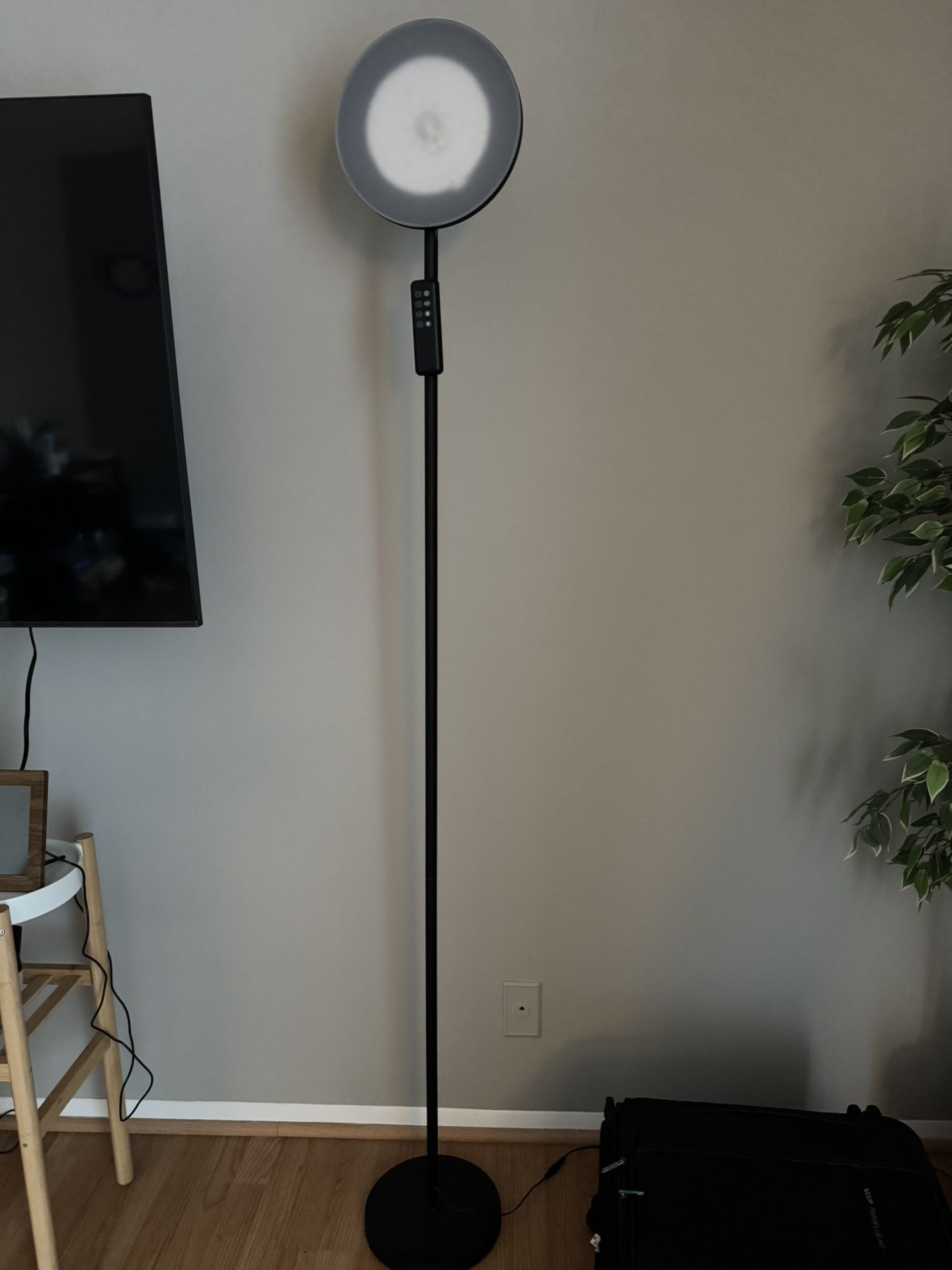 Dual Color Ring Light