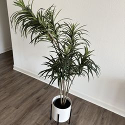 *Artificial Plant And Planter*