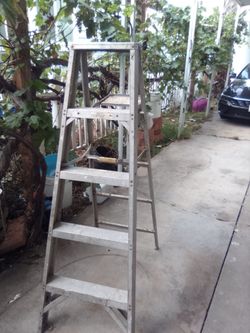 5" Aluminum Ladder