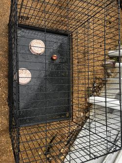Large Vibrant Life Dog Crate with Bottom Tray + Bonus Dog Bowls