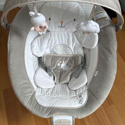 Baby Bouncer 