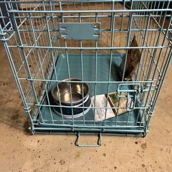 Dog Cage 