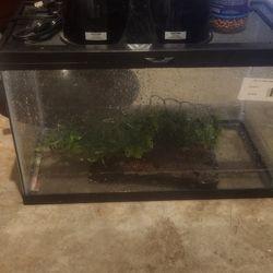 Reptile Tank Or Turtle, Fish 