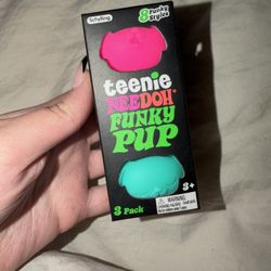 Teenie Needoh Funky Pups