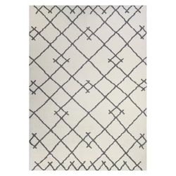 AREA RUG 10 X 7’