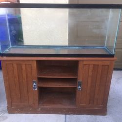 Fish Tank Or Aquarium