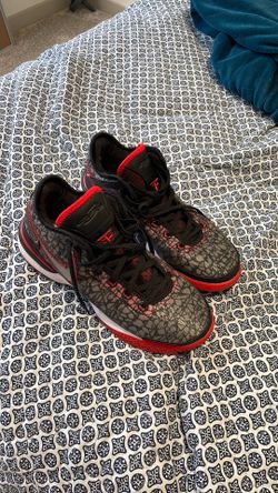 Lebron NXXT Gen shoes
