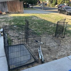 Kennel 