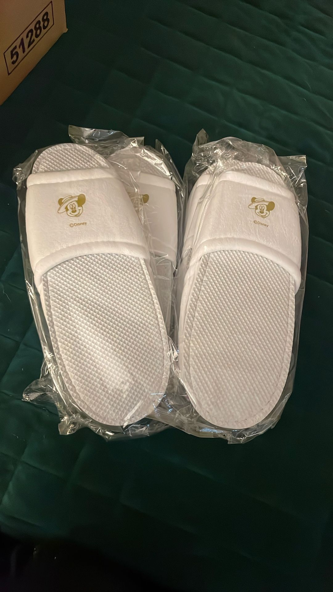 Disneyland Tokyo Slippers