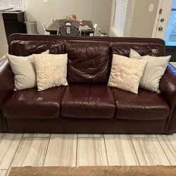 Two Leather Couches