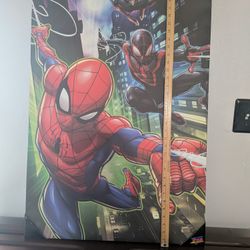 Spider-Man Picture