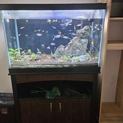 2 Aquariums