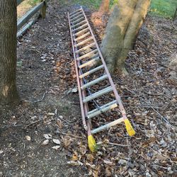 Louisville 32 Ft Fiberglass Ladder
