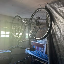 Bike - Specialized Hybrid Road/Mountain 