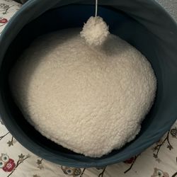 Kitten/ Cat Bed 
