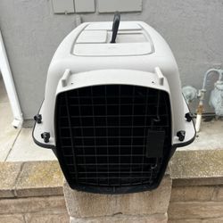 Kennel 