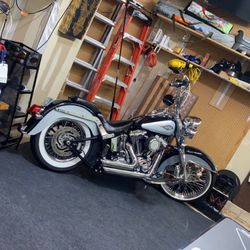 Harley Davidson softail