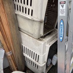 Cages $20 Each Different Sizes Really Low Price