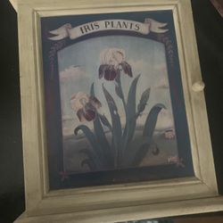 Small Hanging Cabinet 