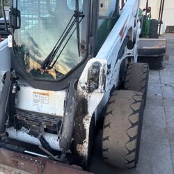 Bobcat