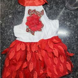 Female Dog 🐕 DRESS 👗 Medium Size