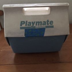 Playmate Igloo Cooler