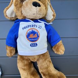 New York Mets Plush Dog with Embroidered Hoodie Stuffed Animal 