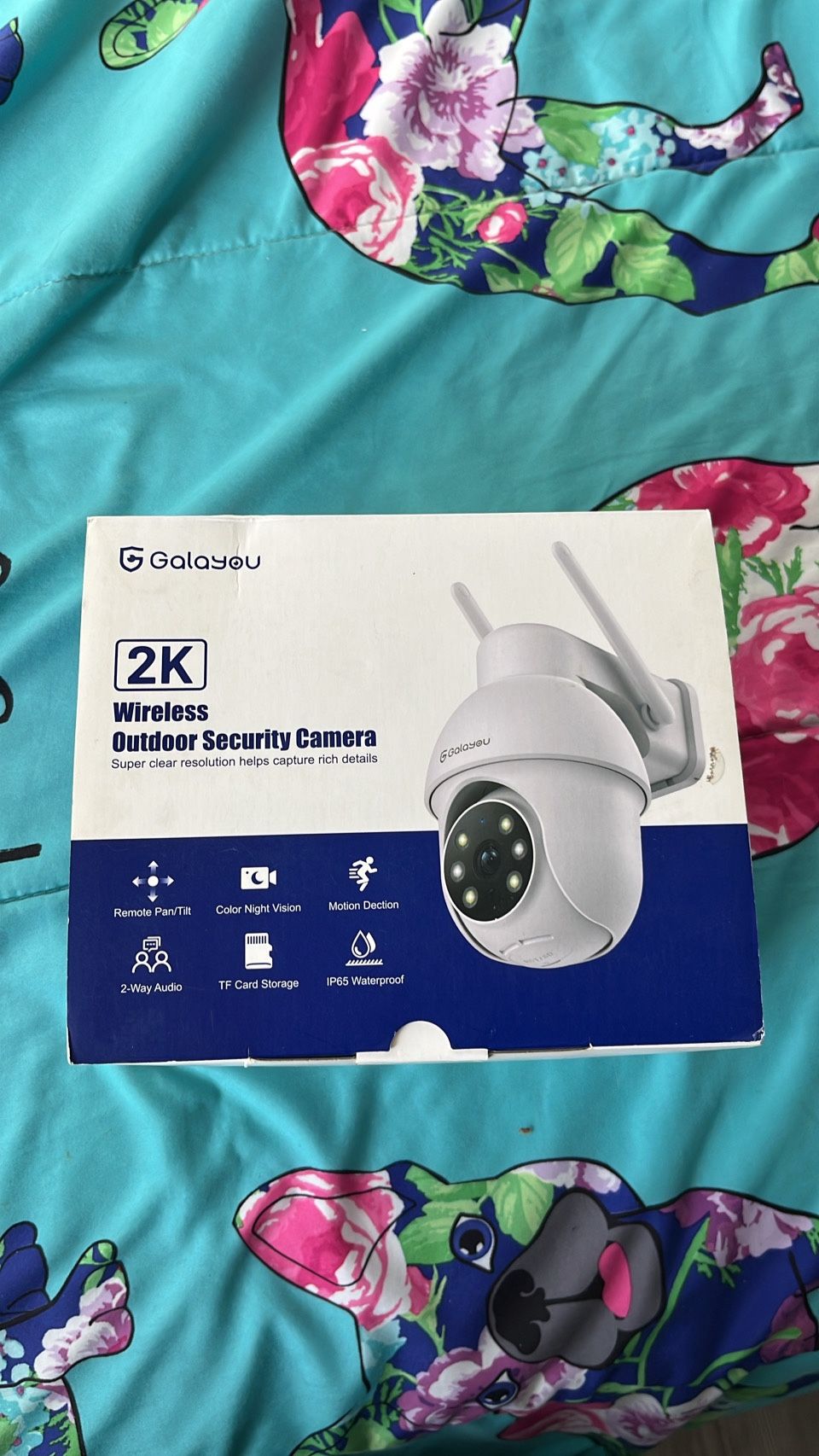 Camera 