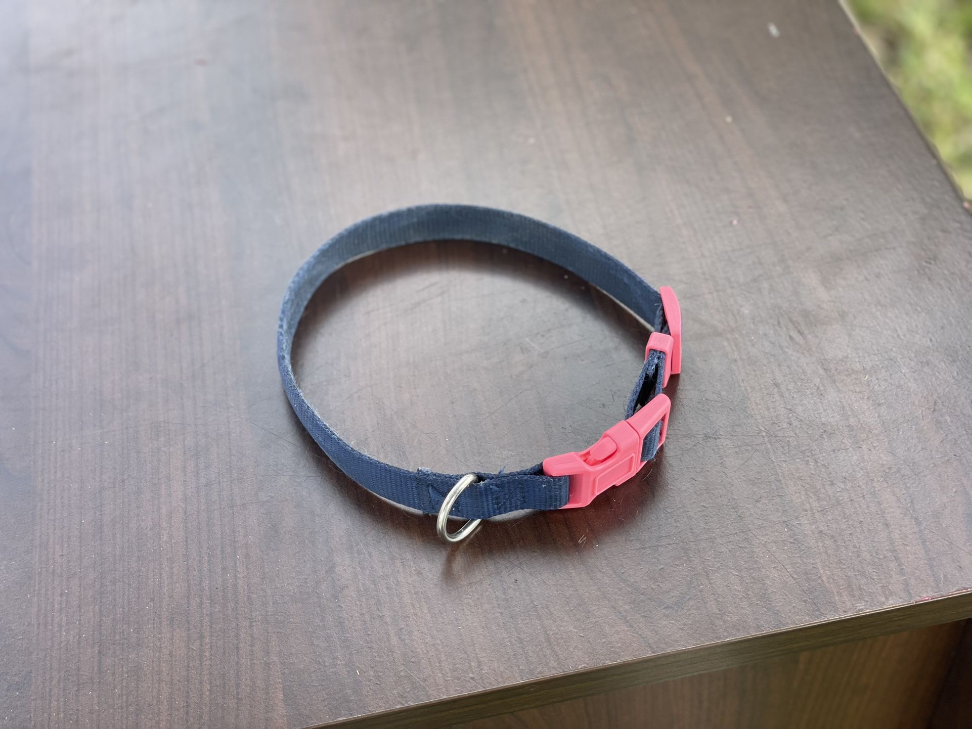 20” Dog Collar