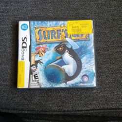 Nintendo DS Surfs Up
