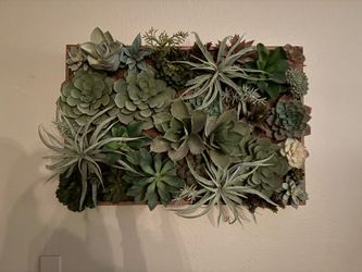 Large Pottery Barn Faux Succulent Wood-Framed Wall Art (20x30)