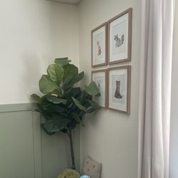 Artificial Decorative Fig Tree