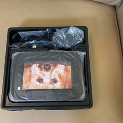 Lasonic JL-016 Digital Photo Frame