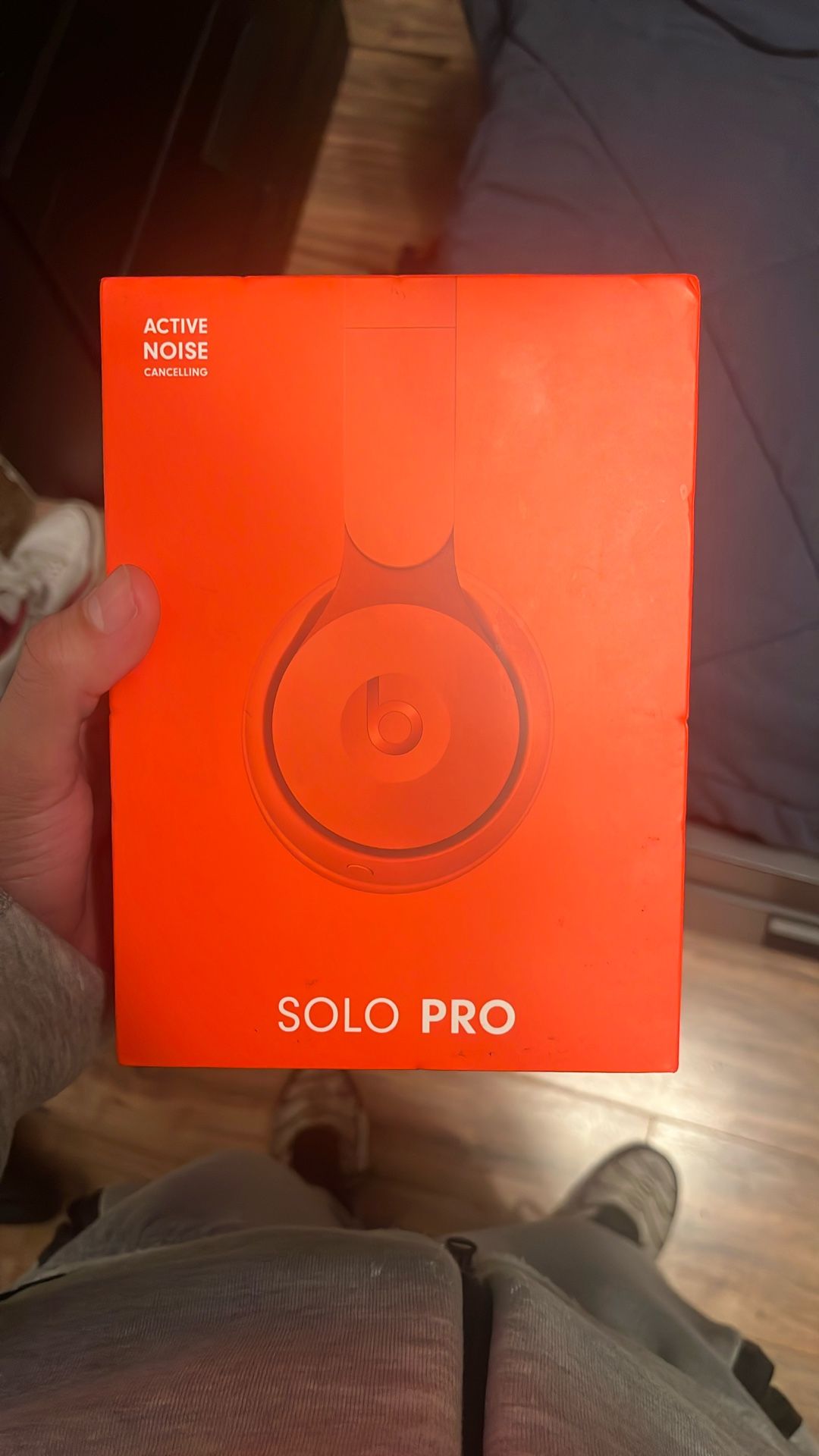Beats solo Pro