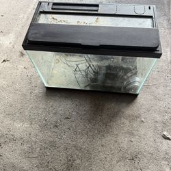Fish Tank