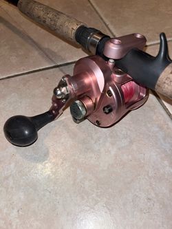 AVET 5.3:1 salt water reel with Jarvis walker corkscrew rod