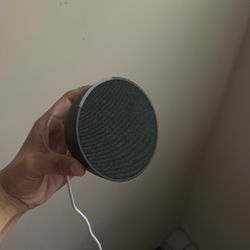 Amazon Alexa Echo