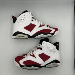 Jordan 6 Carmine 2014 Size 11