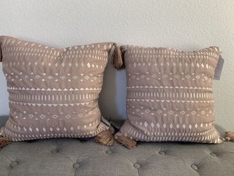 2 Gorgeous Brand New Accent Pillows 