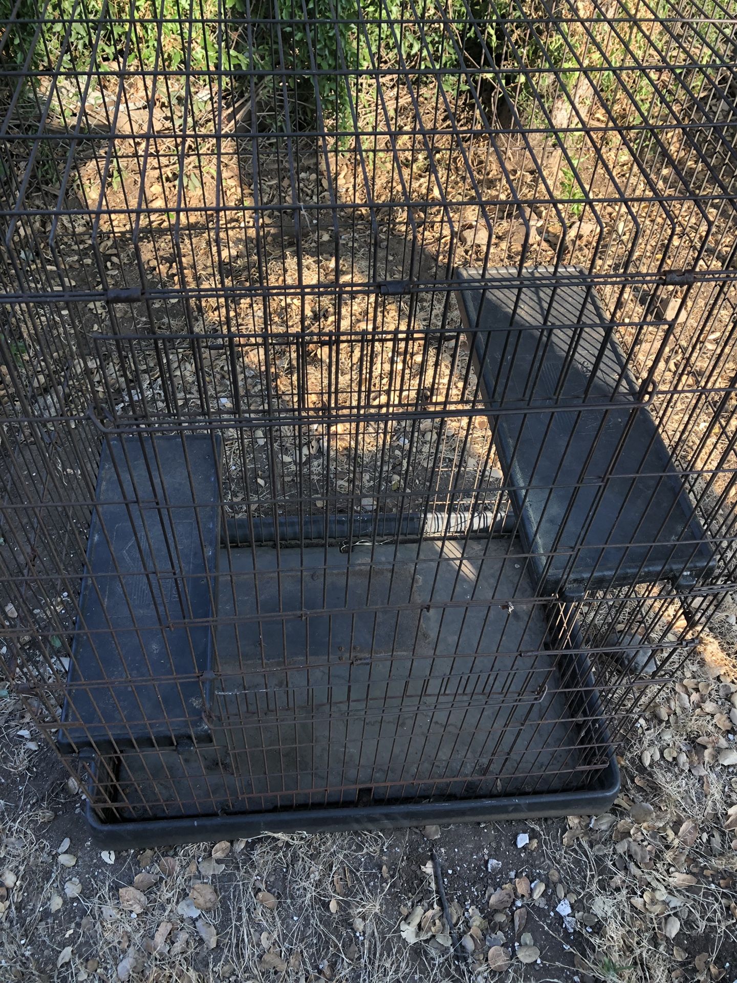 Large bird cage For Sale